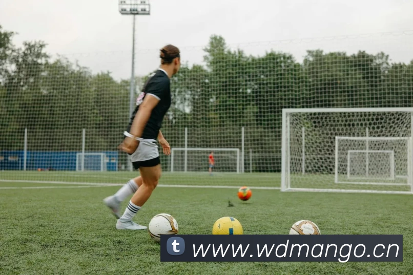 九游·官方站入口 - JiuYou 9(中国)服务体系